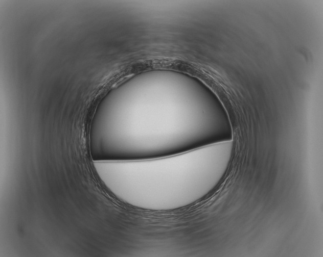 X0000114421252200910161046
