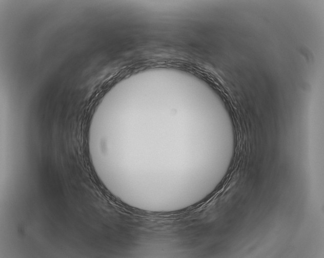 X0000114421253200910161046