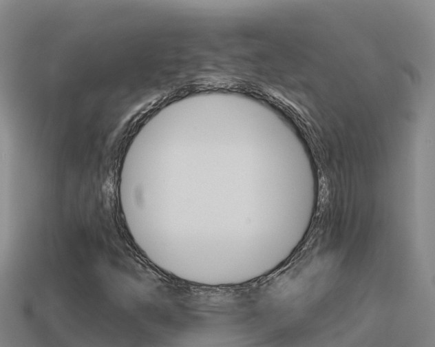 X0000114421254200910161046
