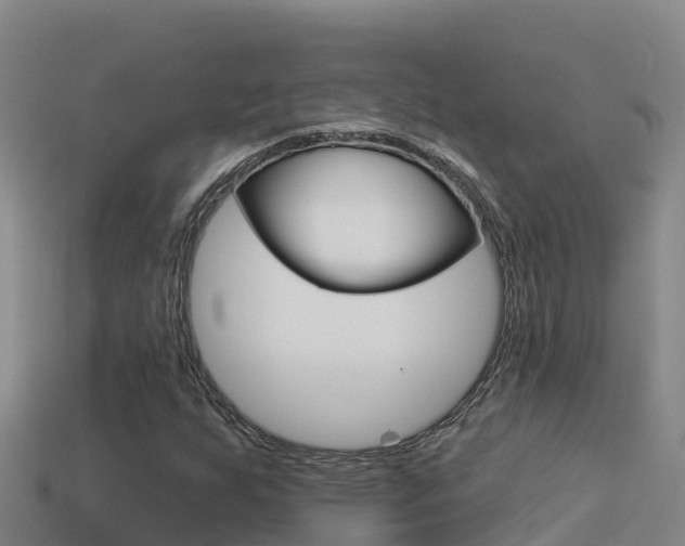 X0000114421255200910161045