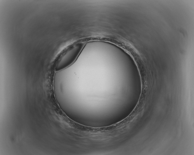 X0000114421256200910161045