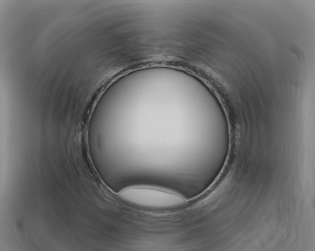 X0000114421257200910161045