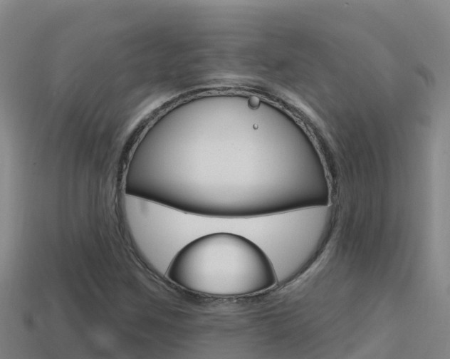 X0000114421259200910161045