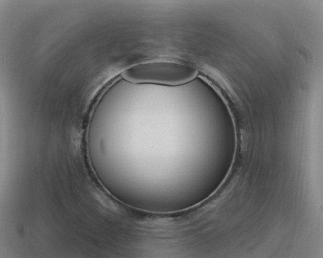 X0000114421260200910161045