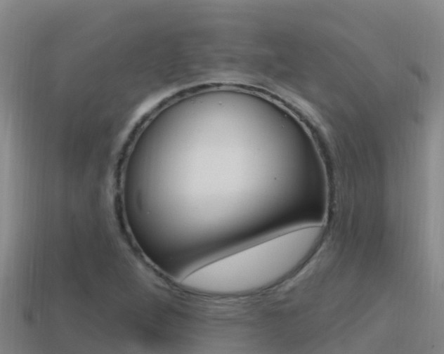 X0000114421264200910161045
