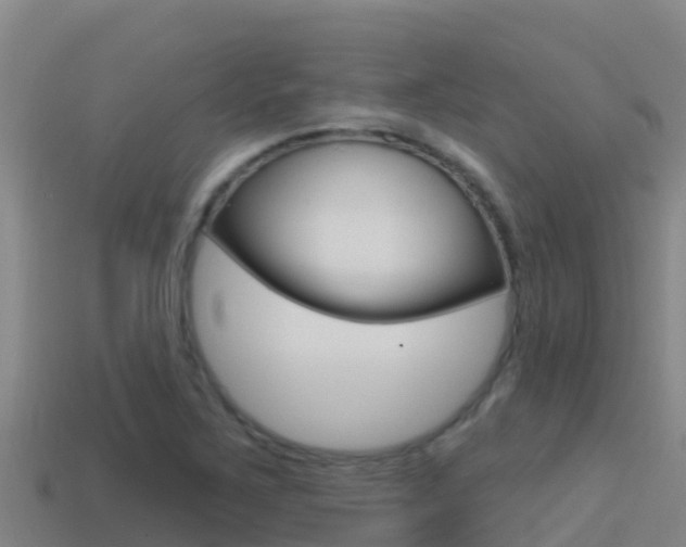 X0000114421267200910161045