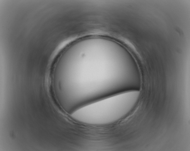 X0000114421270200910161045