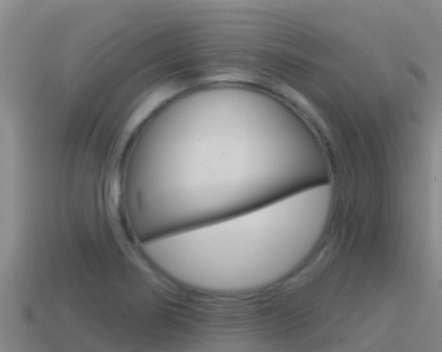 X0000114421274200910161045