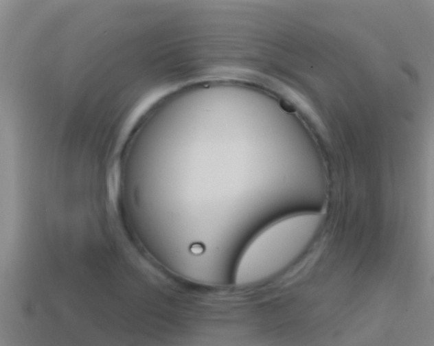 X0000114421275200910161045