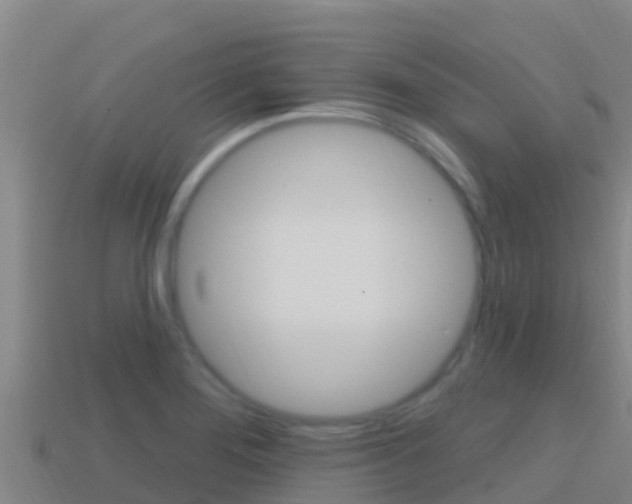 X0000114421276200910161045