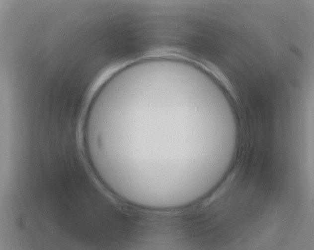 X0000114421277200910161045