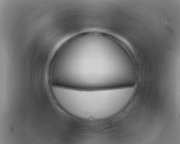 X0000114421279200910161045