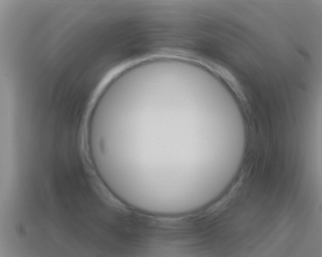 X0000114421280200910161045