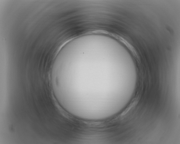 X0000114421281200910161045