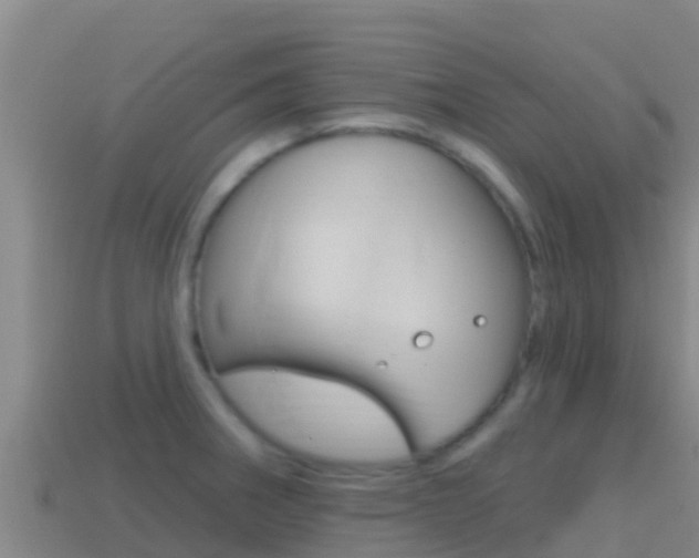X0000114421282200910161045