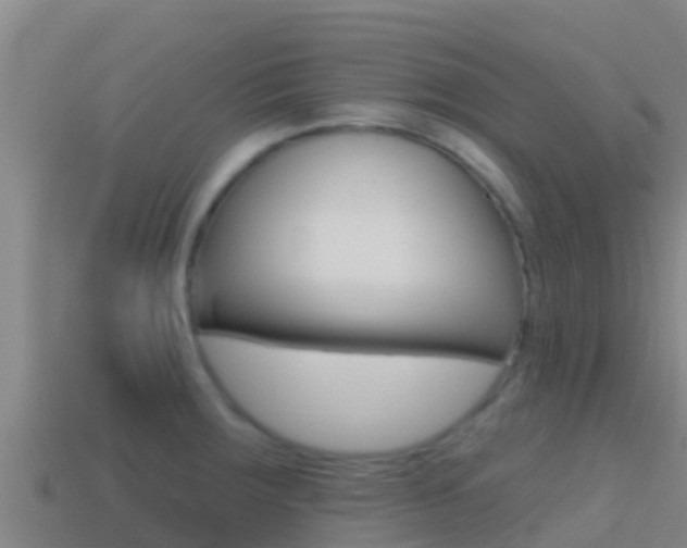 X0000114421283200910161045
