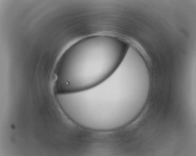 X0000114421284200910161045
