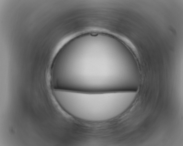 X0000114421287200910161045