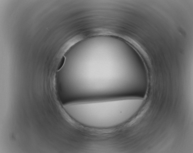 X0000114421289200910161045