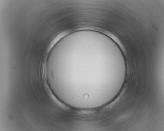 X0000114421290200910161045