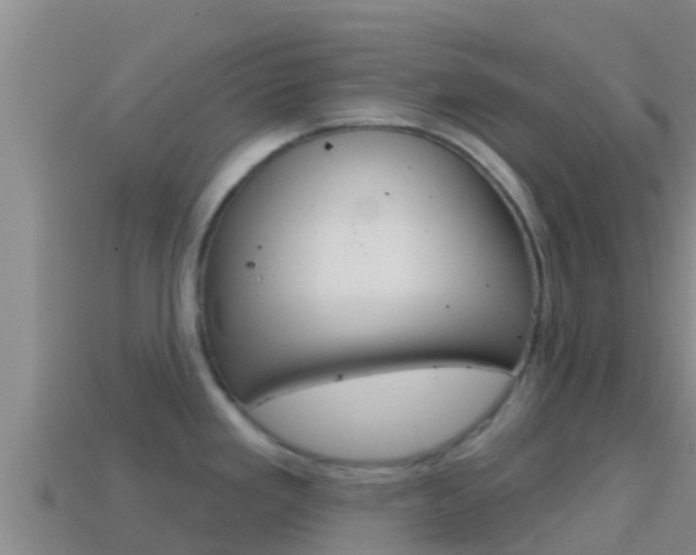 X0000114421293200910161045