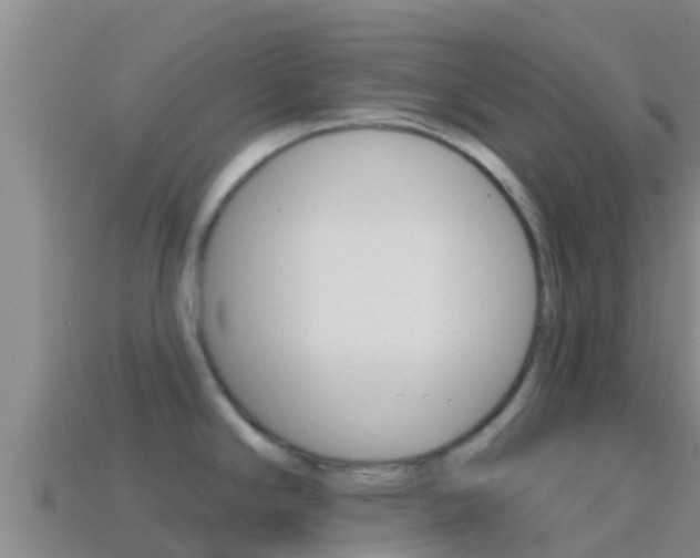 X0000114421294200910161045