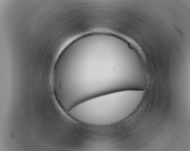X0000114421295200910161045