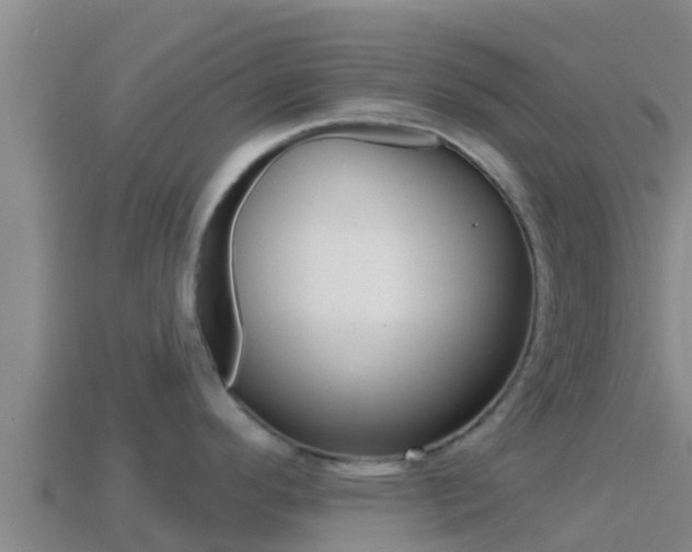 X0000114421296200910161045