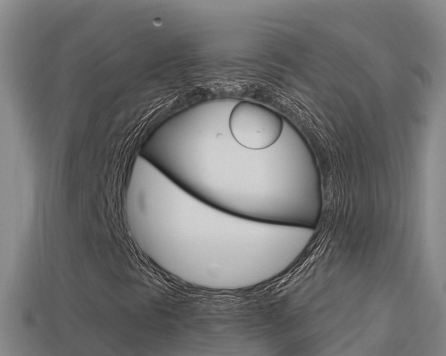 X0000114421297200910161044