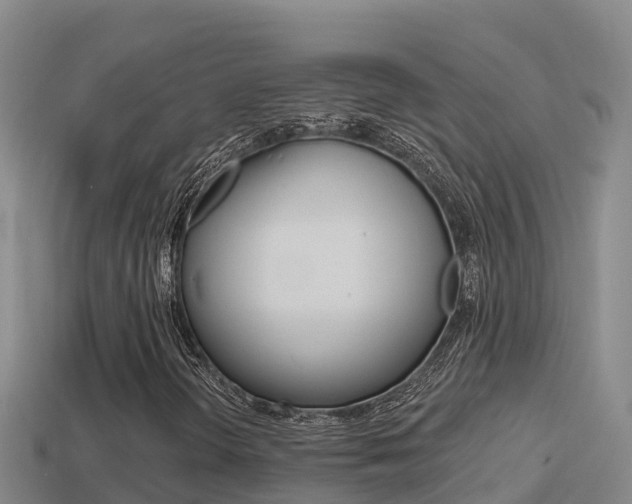 X0000114421298200910161044