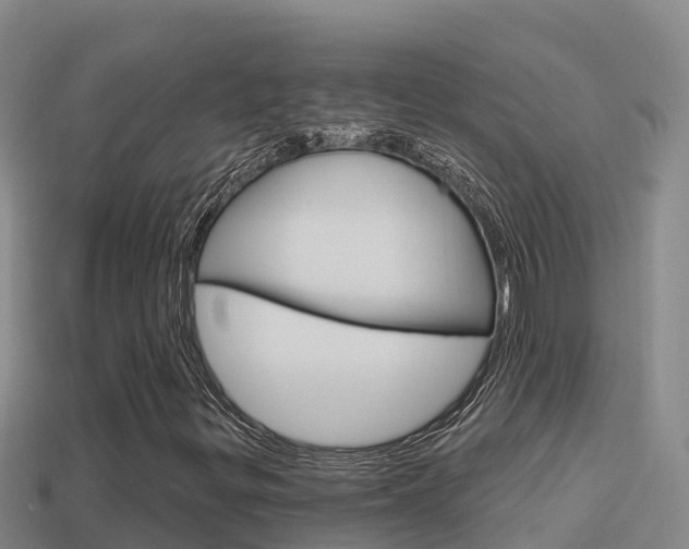 X0000114421299200910161044
