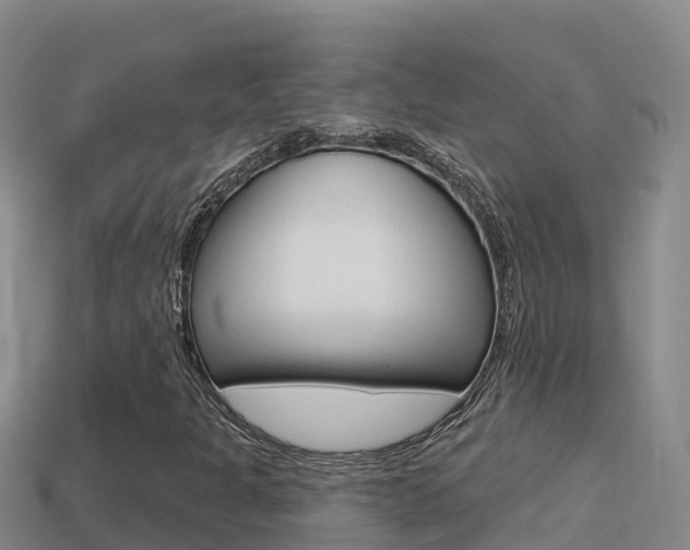 X0000114421301200910161044