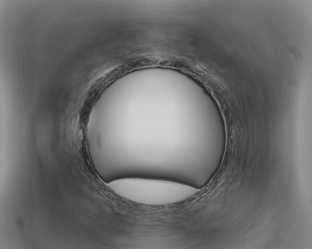 X0000114421302200910161044
