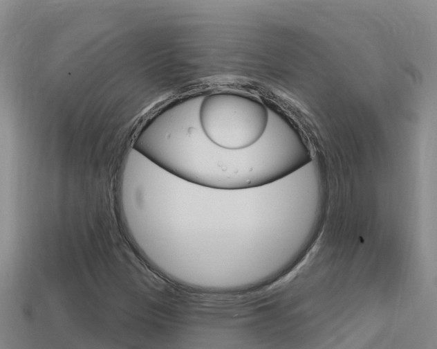 X0000114421305200910161044