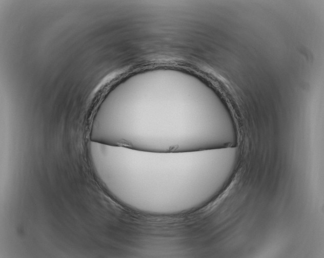 X0000114421306200910161044