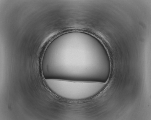 X0000114421307200910161044