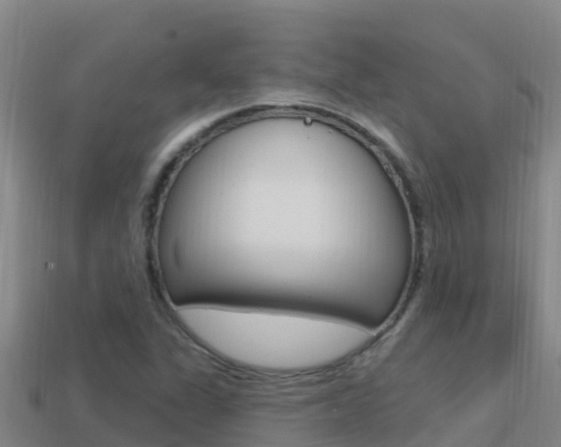 X0000114421311200910161045