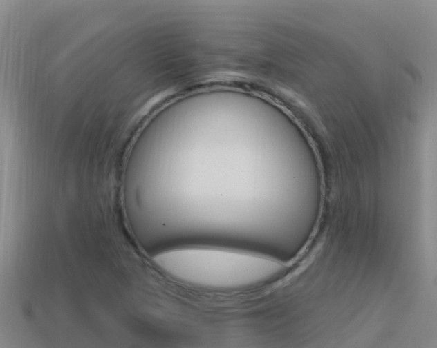 X0000114421313200910161045