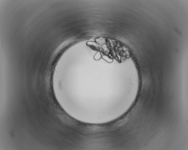 X0000114421314200910161045