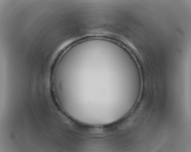 X0000114421315200910161045