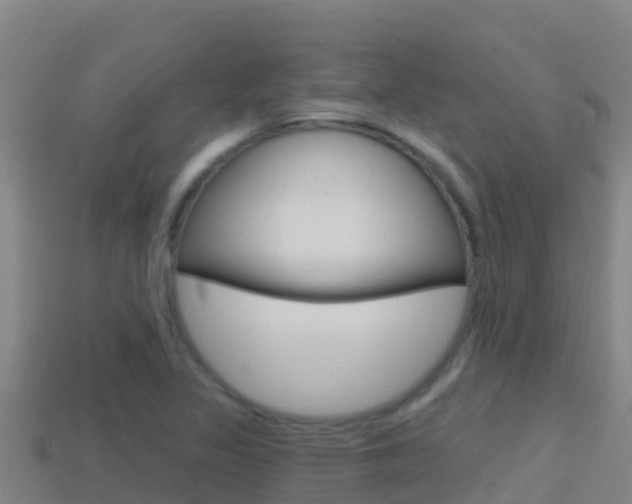 X0000114421317200910161045