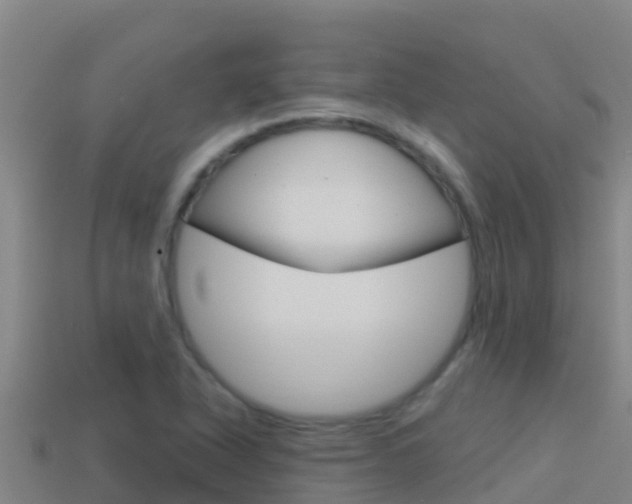 X0000114421318200910161045