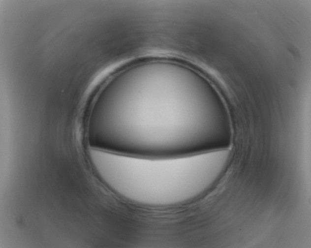 X0000114421319200910161045