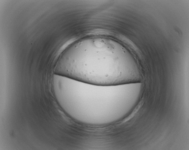 X0000114421321200910161045