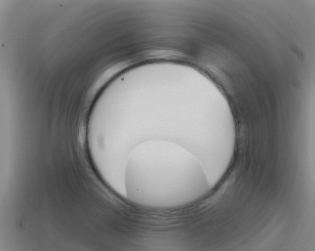 X0000114421322200910161045
