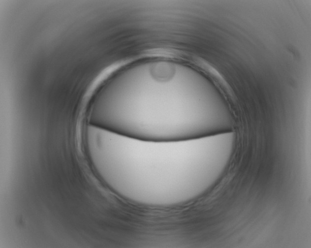 X0000114421323200910161045