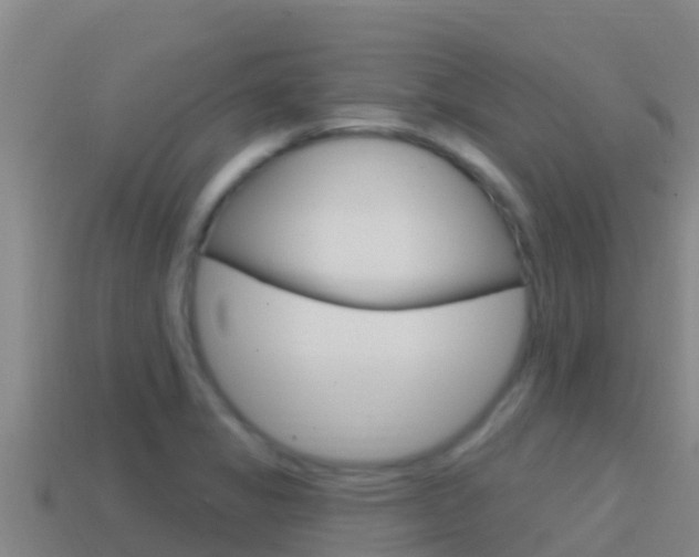 X0000114421325200910161045