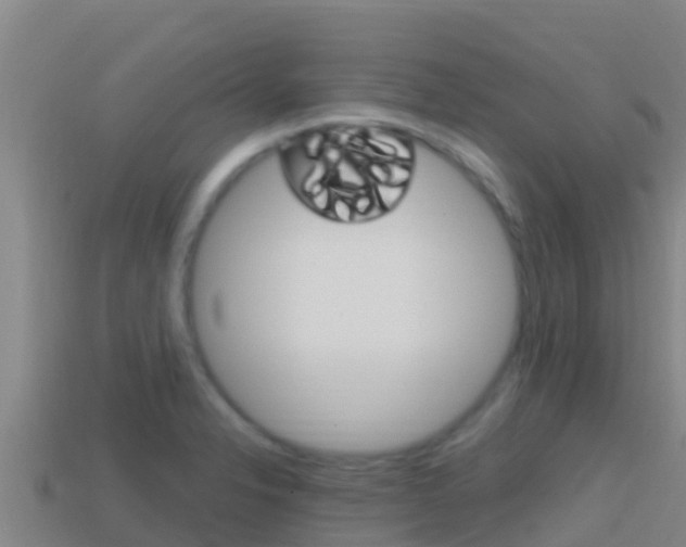 X0000114421326200910161045