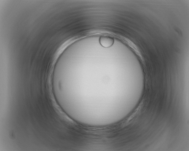 X0000114421330200910161045
