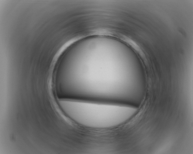 X0000114421331200910161045